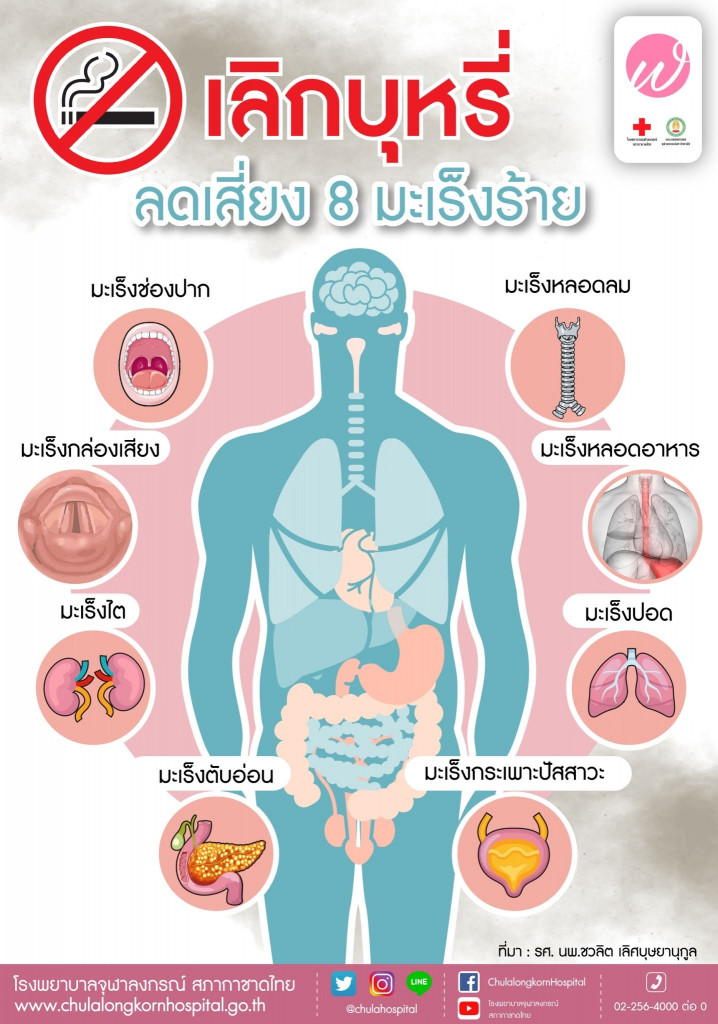 03 เลิกบุหรี่ลดความเสี่ยง 8 มะเร็งร้าย Line Chulahospital May'19