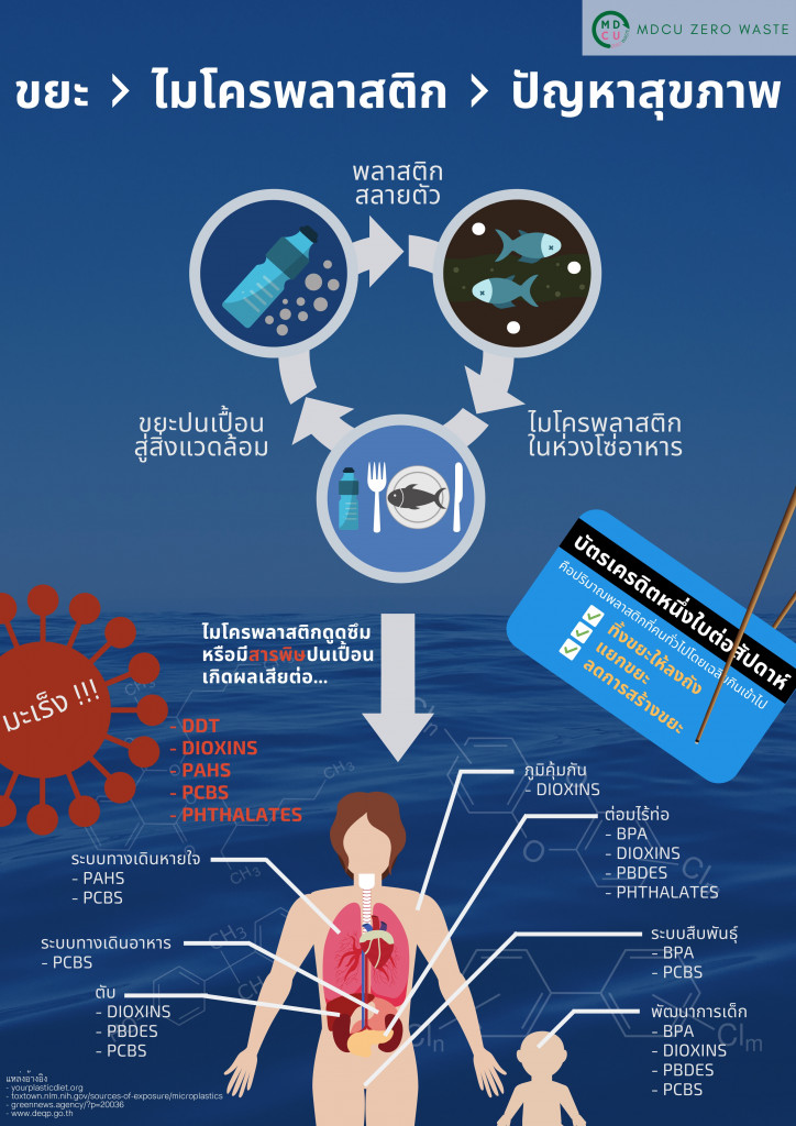 Copy of Microplastics Poster