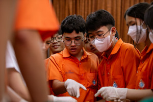 IMG_4529 copy