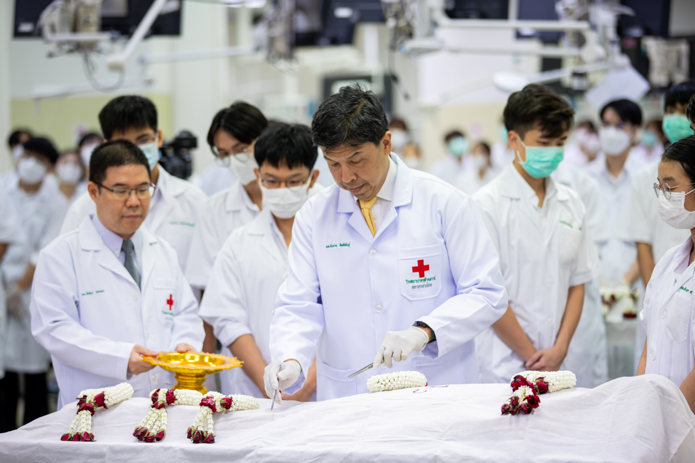 IMG_9781-Enhanced-NR