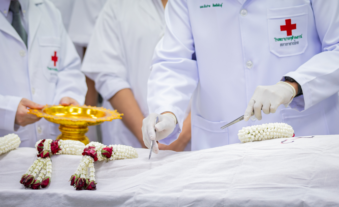 IMG_9781-Enhanced-NR-2